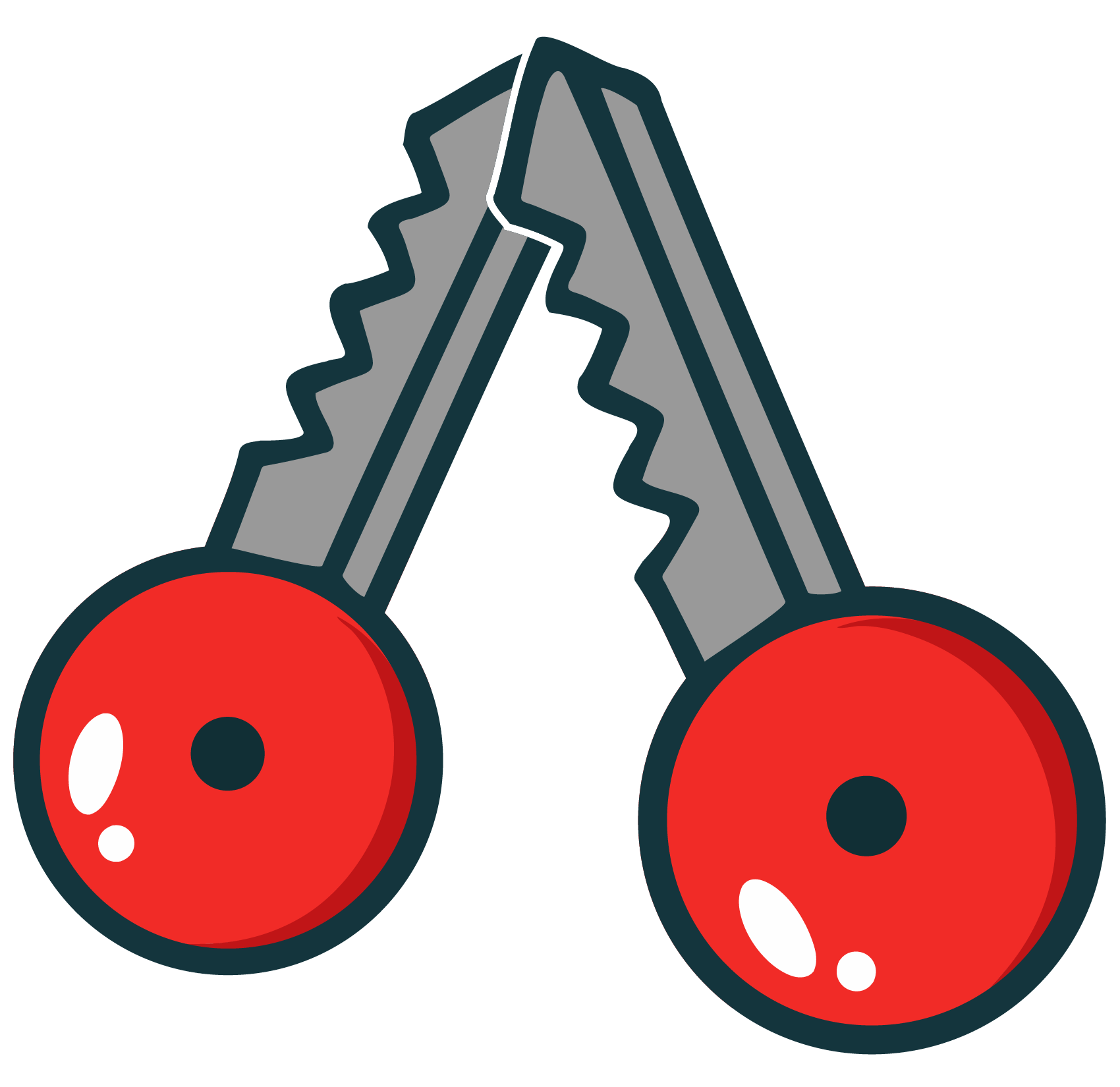 Cherry Security